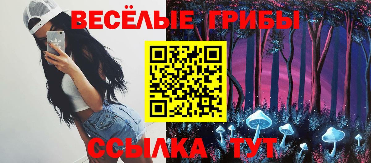 Шахты  что такое наркотик  Вход с VPN  Галлюциногенные грибы мицелий 