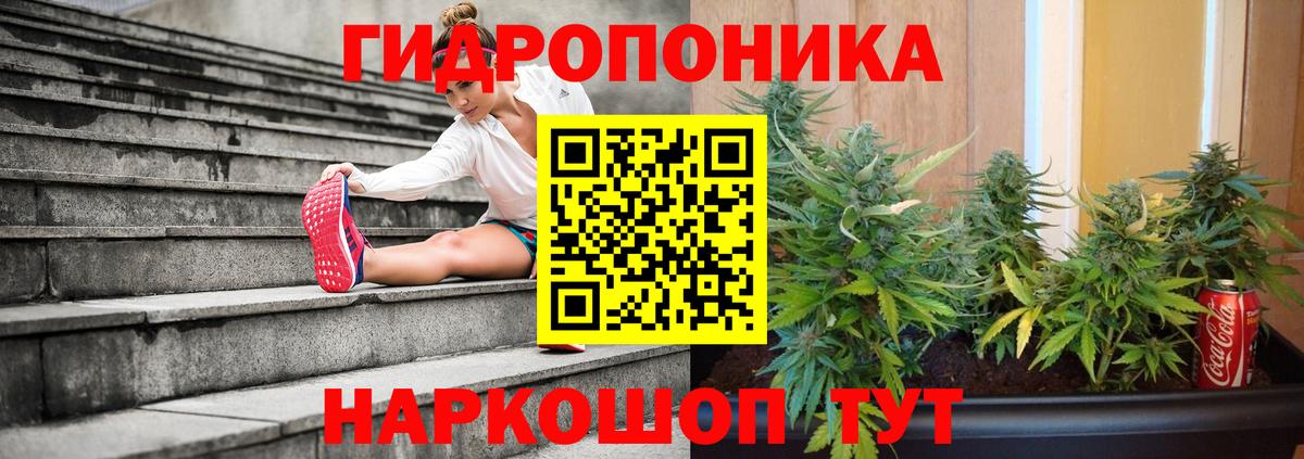 Бошки марихуана Amnesia  Вход с VPN  Марихуана LSD WEED  Шахты 